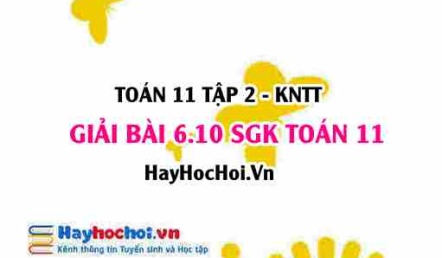 Bài 6.10 SGK Toán 11 Tập 2 Kết nối tri thức